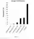 Fig. 07 - Compositions and methods for producing dendritic cells
