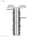 Fig. 04 - IMMUNOGENIC COMPOSITIONS AND EXPRESSION SYSTEMS
