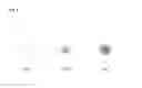 Fig. 05 - MDR specific antibody