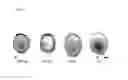 Fig. 06 - MDR specific antibody