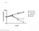Fig. 08 - MDR specific antibody
