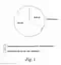 Fig. 06 - Immunizing compositions and methods of use