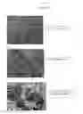 Fig. 08 - Hendra virus recombinant compositions and uses thereof