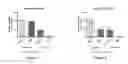Fig. 02 - Photodynamic therapy, formulation usable for this purpose, and method for the production and use thereof