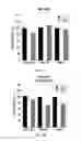 Fig. 13 - Engineering synthethic brain penetrating gene vectors