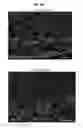 Fig. 11 - Endogenous neogenesis of beta cells