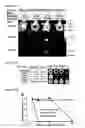 Fig. 12 - TCO conjugates and methods for delivery of therapeutic agents