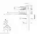Fig. 13 - TCO conjugates and methods for delivery of therapeutic agents