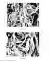 Fig. 07 - Compositions and methods for tissue repair with extracellular matrices