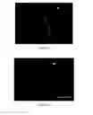 Fig. 09 - Compositions and methods for tissue repair with extracellular matrices