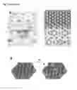 Fig. 07 - Radioactive monolayer surface coating