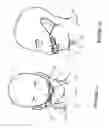 Fig. 07 - Breathing assistance apparatus