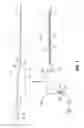 Fig. 02 - DRUG-DELIVERY DEVICE FOR USE WITH ABLATION DEVICE