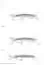 Fig. 04 - Microneedle unit