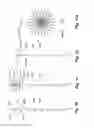 Fig. 11 - Microelectrode and multiple microelectrodes