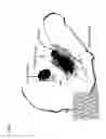 Fig. 07 - Wireless implantable taste system