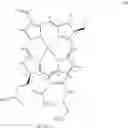 Fig. 02 - FOCAL PHOTODYNAMIC THERAPY METHODS