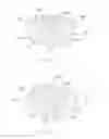 Fig. 19 - Golf club head