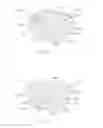 Fig. 24 - Golf club head