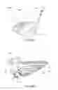 Fig. 44 - Golf club head