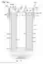 Fig. 11 - Spin-on filter with external threads and methods