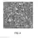 Fig. 05 - Composite nanostructures having a crumpled graphene oxide shell
