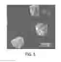 Fig. 06 - Composite nanostructures having a crumpled graphene oxide shell