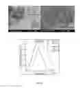 Fig. 07 - METHODS FOR PRODUCING NANOPARTICLES AND USING SAME