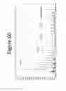 Fig. 61 - Unitary biochip providing sample-in to results-out processing and methods of manufacture