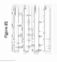 Fig. 86 - Unitary biochip providing sample-in to results-out processing and methods of manufacture