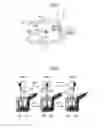 Fig. 08 - Spout apparatus causing reciprocal oscillations