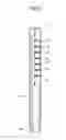 Fig. 03 - SPOUT APPARATUS