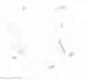 Fig. 01 - TWO-SIDED CLEANING IMPLEMENT