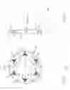 Fig. 11 - Tooling assembly, blanking tool therefor and associated method