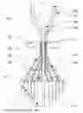 Fig. 01 - Press for producing dimensionally stable preforms and production process