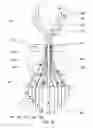 Fig. 06 - Press for producing dimensionally stable preforms and production process