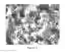 Fig. 07 - Coated grinding means