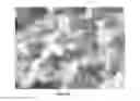 Fig. 08 - Coated grinding means