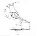 Fig. 10 - Canvas stretching tool