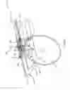 Fig. 07 - Table saw guard