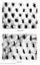 Fig. 15 - Method for making an apertured web