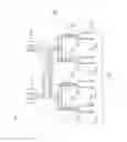 Fig. 21 - Methods of molding multi-layer polymeric articles having control over the breakthrough of the core layer