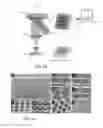 Fig. 02 - Layerless bioprinting via dynamic optical projection and uses thereof