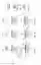Fig. 03 - Layerless bioprinting via dynamic optical projection and uses thereof