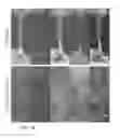 Fig. 17 - Layerless bioprinting via dynamic optical projection and uses thereof