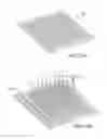 Fig. 20 - Layerless bioprinting via dynamic optical projection and uses thereof
