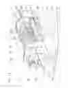 Fig. 02 - Screw press for compressing and dewatering a suspension