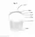 Fig. 08 - Compression screw for producing animal feed