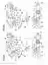 Fig. 07 - Conveyor and image recording apparatus