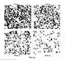 Fig. 06 - Printer control section, method and printer
